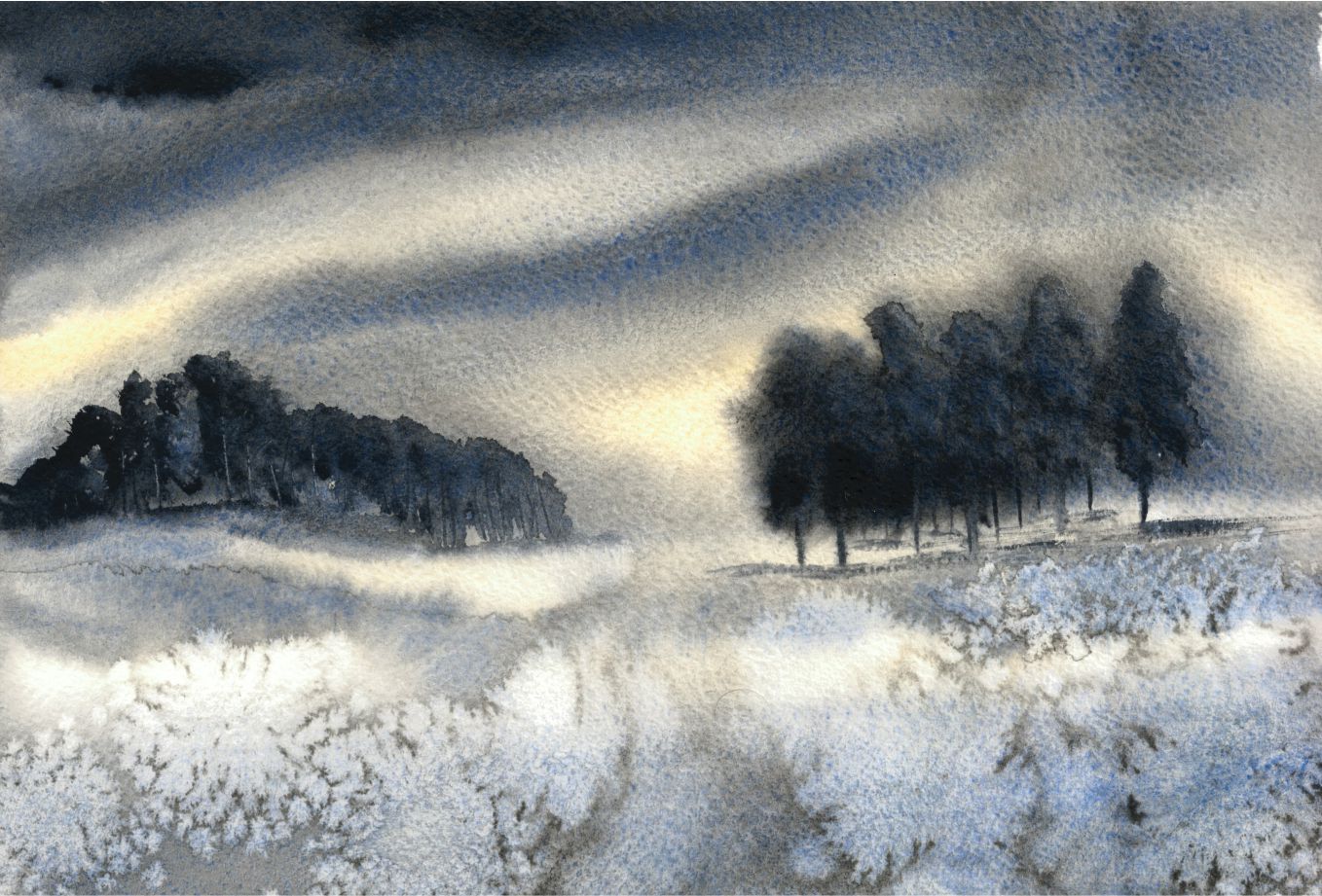 Snowy Tundra