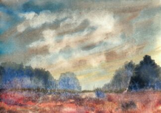 WETLANDS 2