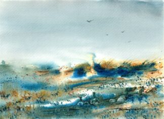 WETLANDS
